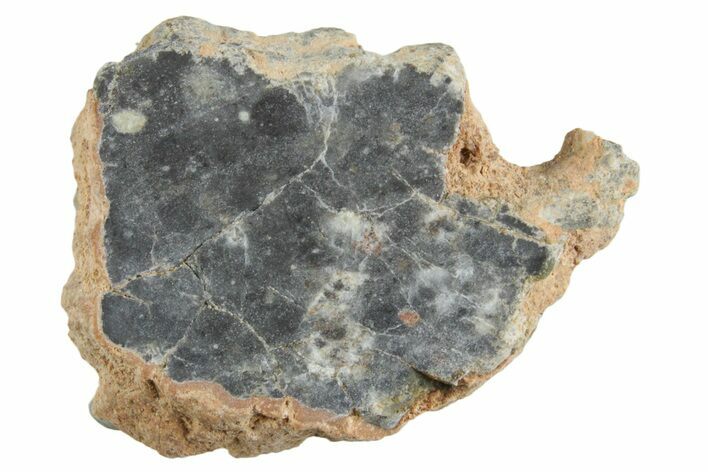 Lunar Meteorite ( g) Slice - Bechar #348190